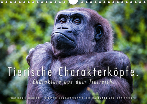 Tierische Charakterköpfe (Wandkalender 2021 DIN A4 quer) von Gerlach,  Ingo