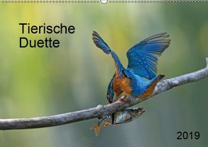 Tierische Duette (Wandkalender 2019 DIN A2 quer) von Oldani,  Dorothea