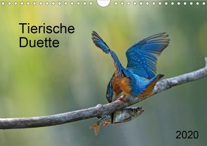 Tierische Duette (Wandkalender 2020 DIN A4 quer) von Oldani,  Dorothea