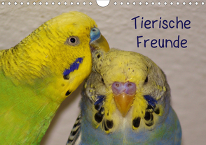 Tierische Freunde (Wandkalender 2020 DIN A4 quer) von kattobello