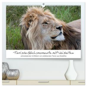 Tierische Glücksmomente mit Weisheiten (hochwertiger Premium Wandkalender 2024 DIN A2 quer), Kunstdruck in Hochglanz von Bolkart,  Corinna