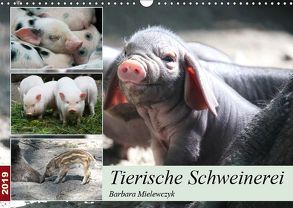 Tierische Schweinerei (Wandkalender 2019 DIN A3 quer) von Mielewczyk,  Barbara