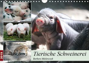 Tierische Schweinerei (Wandkalender 2019 DIN A4 quer) von Mielewczyk,  Barbara