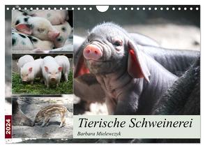 Tierische Schweinerei (Wandkalender 2024 DIN A4 quer), CALVENDO Monatskalender von Mielewczyk,  Barbara