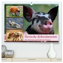 Tierische Schweinereien (hochwertiger Premium Wandkalender 2024 DIN A2 quer), Kunstdruck in Hochglanz von Kleemann,  Claudia