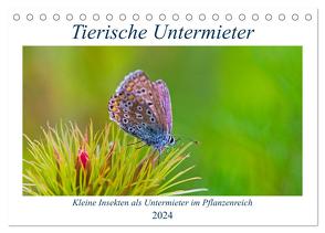 Tierische Untermieter (Tischkalender 2024 DIN A5 quer), CALVENDO Monatskalender von Stenner,  Clemens