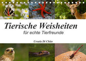 Tierische Weisheiten (Tischkalender 2023 DIN A5 quer) von Di Chito,  Ursula