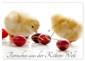 Tierisches aus der Küken-Welt (Wandkalender 2024 DIN A2 quer), CALVENDO Monatskalender von Riedel,  Tanja