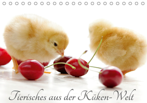 Tierisches aus der Küken-WeltAT-Version (Tischkalender 2021 DIN A5 quer) von Riedel,  Tanja