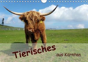 Tierisches aus Kärnten (Wandkalender 2019 DIN A4 quer) von Mentil,  Bianca