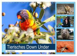 Tierisches Down Under – live erleben (Wandkalender 2024 DIN A3 quer), CALVENDO Monatskalender von Fietzek,  Anke