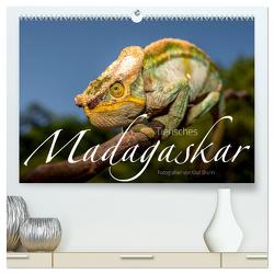 Tierisches Madagaskar (hochwertiger Premium Wandkalender 2024 DIN A2 quer), Kunstdruck in Hochglanz von Bruhn,  Olaf