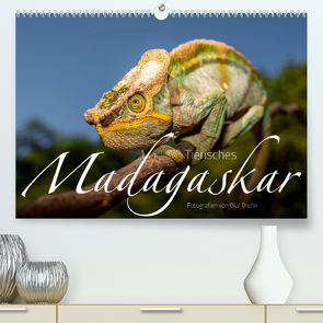 Tierisches Madagaskar (Premium, hochwertiger DIN A2 Wandkalender 2023, Kunstdruck in Hochglanz) von Bruhn,  Olaf