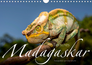 Tierisches Madagaskar (Wandkalender 2020 DIN A4 quer) von Bruhn,  Olaf