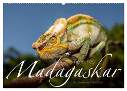 Tierisches Madagaskar (Wandkalender 2024 DIN A2 quer), CALVENDO Monatskalender von Bruhn,  Olaf