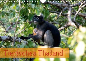 Tierisches Thailand (Wandkalender 2019 DIN A4 quer) von Völcker,  Thomas