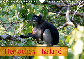 Tierisches Thailand (Wandkalender 2020 DIN A4 quer) von Völcker,  Thomas