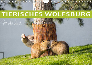 Tierisches Wolfsburg (Wandkalender 2022 DIN A4 quer) von L. Heinrich,  Jens
