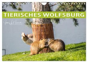 Tierisches Wolfsburg (Wandkalender 2024 DIN A4 quer), CALVENDO Monatskalender von L. Heinrich,  Jens