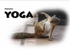 Tierisches Yoga (Wandkalender 2022 DIN A2 quer) von Styppa,  Robert