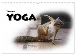 Tierisches Yoga (Wandkalender 2024 DIN A3 quer), CALVENDO Monatskalender von Styppa,  Robert