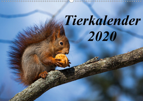 Tierkalender 2020 (Wandkalender 2020 DIN A2 quer) von Tschöpe,  Frank