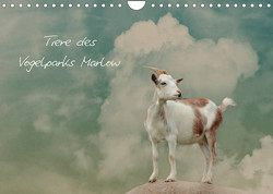 Tierkalender (Wandkalender 2022 DIN A4 quer) von Hultsch,  Heike