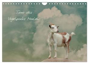 Tierkalender (Wandkalender 2024 DIN A4 quer), CALVENDO Monatskalender von Hultsch,  Heike