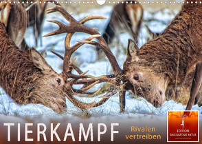 Tierkampf – Rivalen vertreiben (Wandkalender 2023 DIN A3 quer) von Roder,  Peter