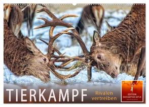 Tierkampf – Rivalen vertreiben (Wandkalender 2024 DIN A2 quer), CALVENDO Monatskalender von Roder,  Peter