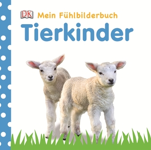 Mein Fühlbilderbuch. Tierkinder von Jaekel,  Franziska