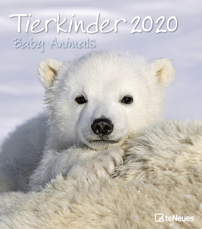 Tierkinder 2020