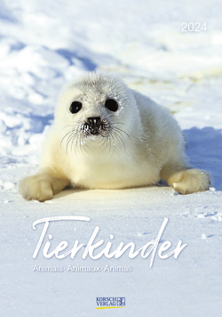 Tierkinder 2024 von Korsch Verlag