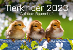 Tierkinder auf dem Bauernhof 2023 von Hubert,  M.-L., Klein,  J. L.