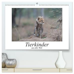 Tierkinder aus aller Welt (hochwertiger Premium Wandkalender 2024 DIN A2 quer), Kunstdruck in Hochglanz von Styppa,  Robert