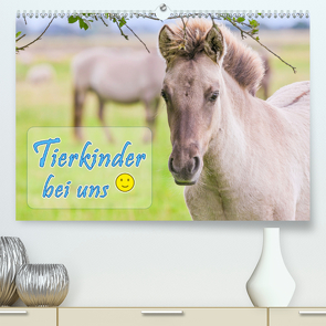 Tierkinder bei uns (Premium, hochwertiger DIN A2 Wandkalender 2021, Kunstdruck in Hochglanz) von Kulartz,  Rainer, Plett,  Lisa