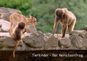 Tierkinder – Der Heiratsantrag (Posterbuch DIN A3 quer) von Dietrich,  Jochen