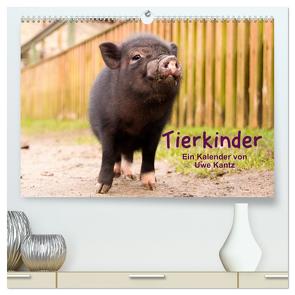 Tierkinder (hochwertiger Premium Wandkalender 2024 DIN A2 quer), Kunstdruck in Hochglanz von Kantz,  Uwe