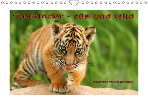 Tierkinder – süß und wild (Wandkalender 2018 DIN A4 quer) von Wittek,  Ronald