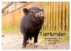 Tierkinder (Tischkalender 2024 DIN A5 quer), CALVENDO Monatskalender von Kantz,  Uwe