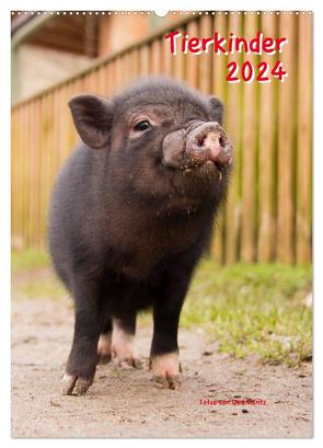 Tierkinder (Wandkalender 2024 DIN A2 hoch), CALVENDO Monatskalender von Kantz,  Uwe