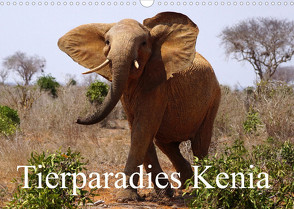 Tierparadies Kenia (Wandkalender 2023 DIN A3 quer) von Müller,  Erika