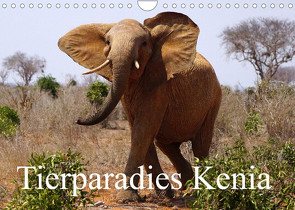 Tierparadies Kenia (Wandkalender 2023 DIN A4 quer) von Müller,  Erika