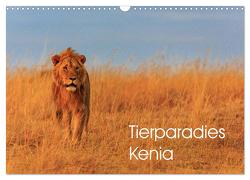 Tierparadies Kenia (Wandkalender 2024 DIN A3 quer), CALVENDO Monatskalender von Oberholzer,  David