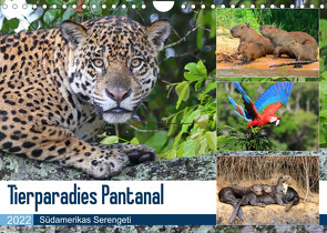 Tierparadies Pantanal (Wandkalender 2022 DIN A4 quer) von und Yvonne Herzog,  Michael
