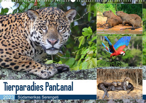 Tierparadies Pantanal (Wandkalender 2023 DIN A2 quer) von und Yvonne Herzog,  Michael