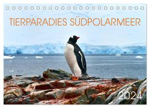 Tierparadies Südpolarmeer (Tischkalender 2024 DIN A5 quer), CALVENDO Monatskalender von Bergermann,  Manfred