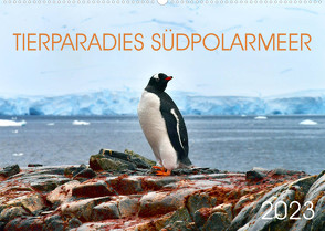 Tierparadies Südpolarmeer (Wandkalender 2023 DIN A2 quer) von Bergermann,  Manfred