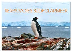 Tierparadies Südpolarmeer (Wandkalender 2024 DIN A2 quer), CALVENDO Monatskalender von Bergermann,  Manfred