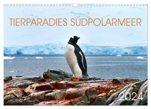 Tierparadies Südpolarmeer (Wandkalender 2024 DIN A3 quer), CALVENDO Monatskalender von Bergermann,  Manfred